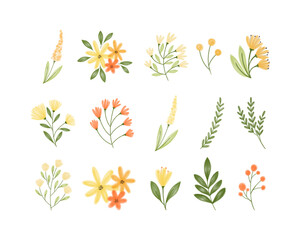 Cute Individual Yellow Watercolor Flower Vector Collection