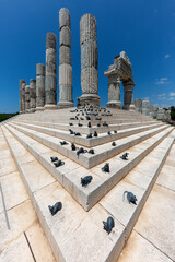 Ruins of the sanctuary of Apollon Smintheus in Ayvacik, Turkey, coming from the word sminthos...