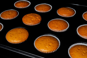 Twelve baked brown cupcakes, muffins in muffin tin in electric oven - close up. Homemade bakery, food, cooking and pastry concept