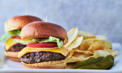 Burger Slider with potato chips and pickled cucumbers
