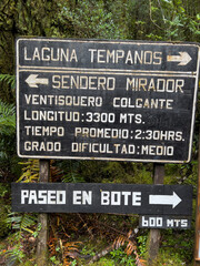 Fototapeta premium no parking sign