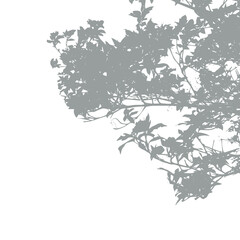 Shadow from vegetation on the wall vector silhouette. Tree branch or bush vector shape © makstorm
