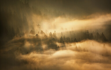 Foggy scenery at the countryside in the early morning