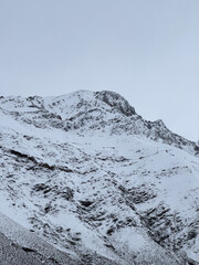 snow covered mountains