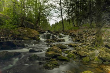 Naklejka na ściany i meble River flowing through a beautiful forest. The photos were taken with a long exposure time