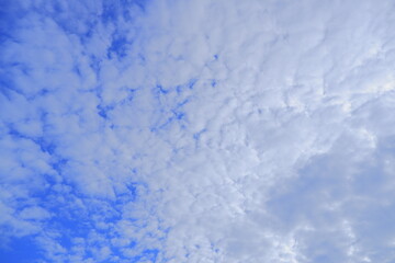 Fototapeta na wymiar blue sky background