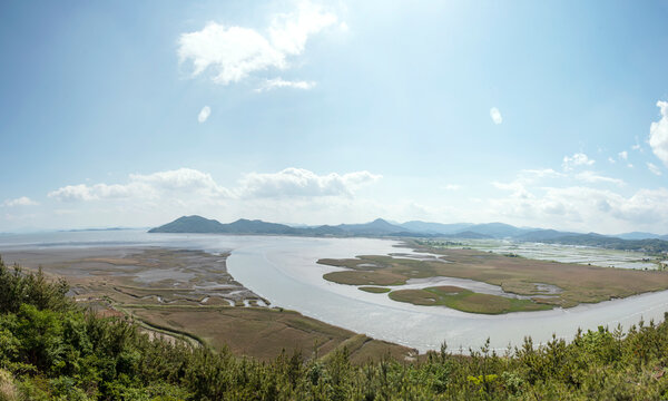 Panoramic view of Suncheonman Bay wetland at Summer in Suncheon, South Korea.