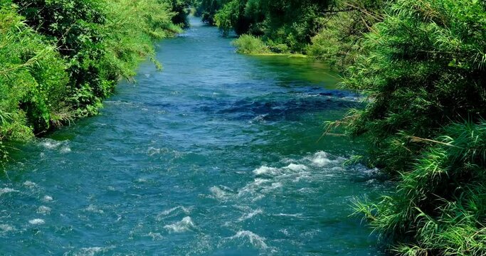 stream in the forest