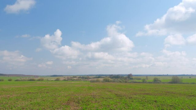 Field and forest against blue sky and white clouds. Blue sky with clouds, forest and green meadow.