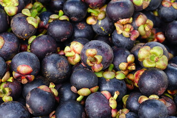mangosteen background in the market