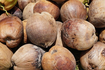 dry coconut background in the market