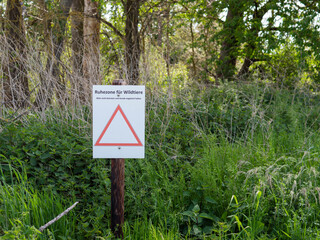 Eind Schild steht vor einem Wald. 