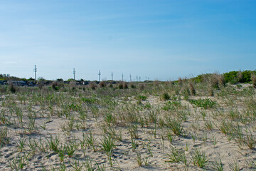 Fototapeta na wymiar Viewing a series of electrical poles over beach grass and send dunes at a Sandy Hook beach in New Jersey -11