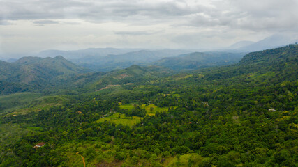 Fototapeta premium Aerial drone of Agricultural land with sown green fields in countryside. Sri Lanka
