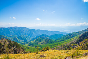 長野県　美ヶ原高原・トレッキング
