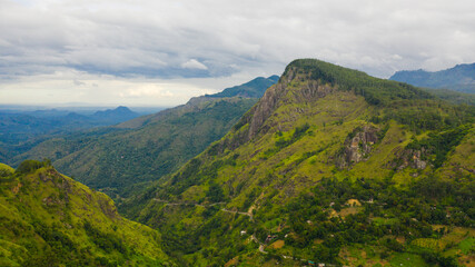 Fototapeta na wymiar Mountains with rainforest and jungle in the mountainous province of Sri Lanka. Ella Rock, Sri Lanka.