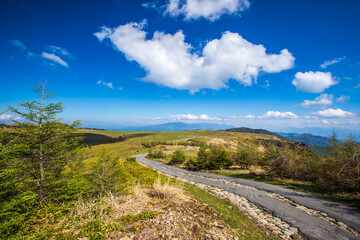長野県　美ヶ原高原・トレッキング
