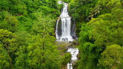 Obraz premium A tropical waterfall in the jungles of Sri Lanka. Mount Vernon Waterfall.