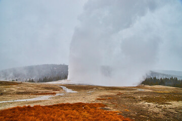 Old Faithful going off on schedule in Yellowstone winter
