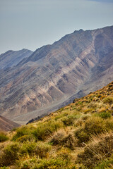 Large uplifted mountain in desert with green shrubs