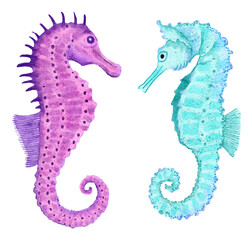 Watercolor illustration of seahorse in blue turquoise purple colors, ocean sea underwater wildlife animals. Nautical summer beach design, coral reef life nature.