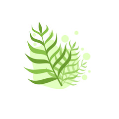 Aesthetic plants with shape background