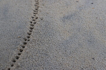 water droplets form a hole in the fine sand. natural background