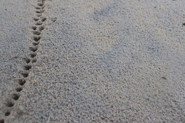 water droplets form a hole in the fine sand. natural background