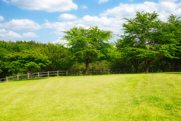 清々しい空気と青空と緑の大地