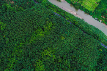 Aerial view asphalt rural road in tree forest park