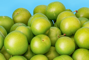 Harvest of green and sour Turkish plum, a popular delicacy refreshing in hot weather. Juicy fruit cheerfully crunches and quenches thirst. On light blue background