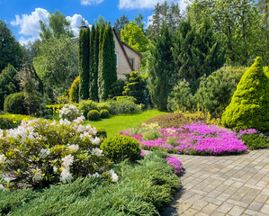 Garden landscape design with flowering plants, green lawn, ornamental evergreens and figured boxwood. Gardening concept.