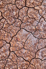 Looking down on ground in desert covered in cracks