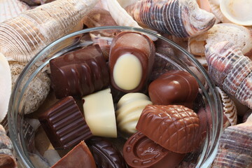 chocolate candies on a background of sea corals