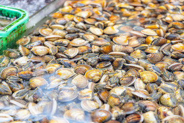 Fresh raw clam selling in wet market