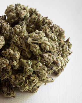 Cannabis buds dried and trimmed in natural light