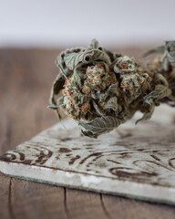 Cannabis buds dried and cured. Marijuana buds and flowers.