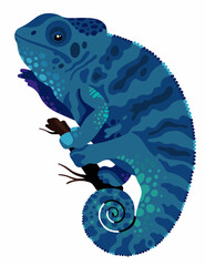 vector blue chameleon on a white background