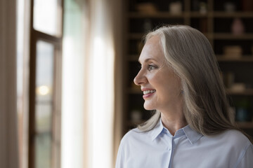 Beautiful grey-haired dreamy older businesswoman in elegant shirt pose alone in office smiling staring out window looks optimistic feel satisfied. Business vision, success, future, aspirations concept