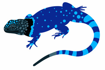 vector blue lizard on a white background