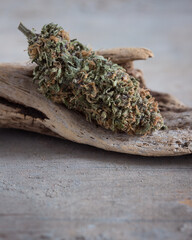 Cannabis buds dried and trimmed in natural light