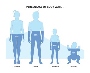 Total Body Water percentage child level chart - obrazy, fototapety, plakaty