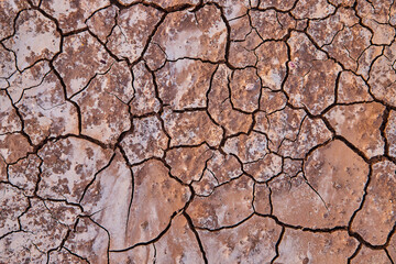 Texture asset of cracks in desert ground from above
