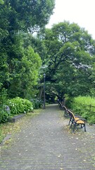The thick tree path with hydrangea blossoms, park lanterns and benches, overlooking the zen garden...