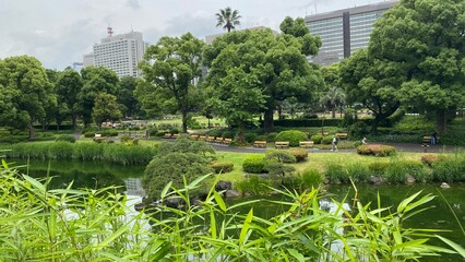 The zen garden and the city skyscrapers view at the Hibiya park Tokyo central downtown, next to the...