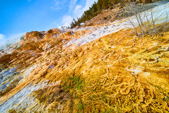 Sediment Images Browse 55 613 Stock Photos Vectors and Video Sediment Images Browse 55 613 Stock Photos Vectors and Video