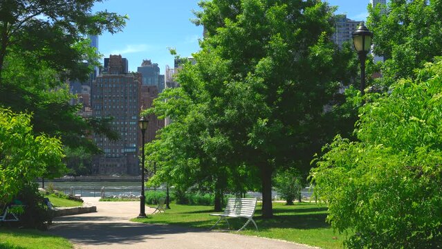 A park bench placed under the growing fresh green trees in Southpointpark at Roosevelt Island on June 5, 2022 in New York City. The fresh greens color is in peak now. Midtown Buildings can be seen beh