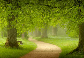 path in the park