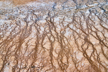 River pattern detail of alkaline waters trickling down by spring in Yellowstone