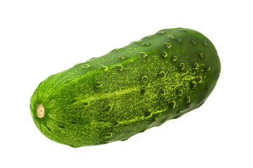 cucumber vegetable closeup on white